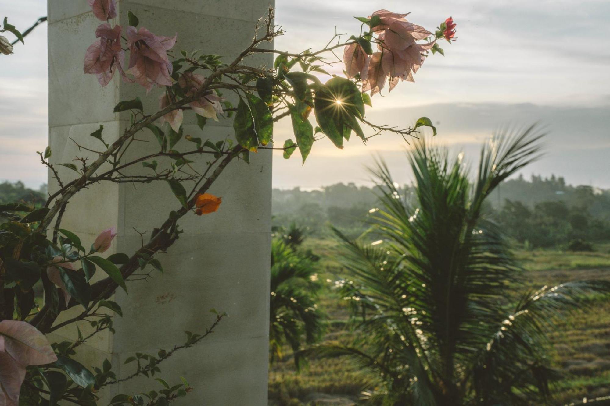 Three Palms Surf & Stay Medewi Airsatang エクステリア 写真